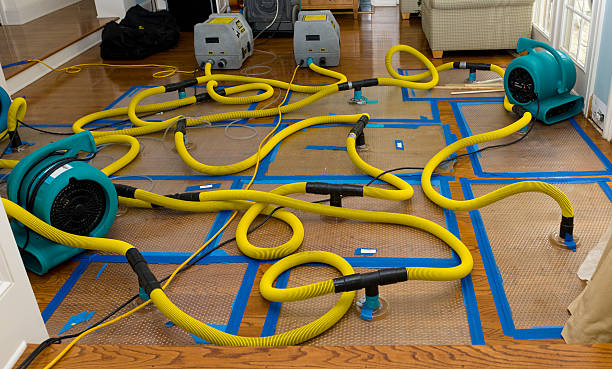 Professional Flood Damage Restoration technician working in Granite Falls, MN